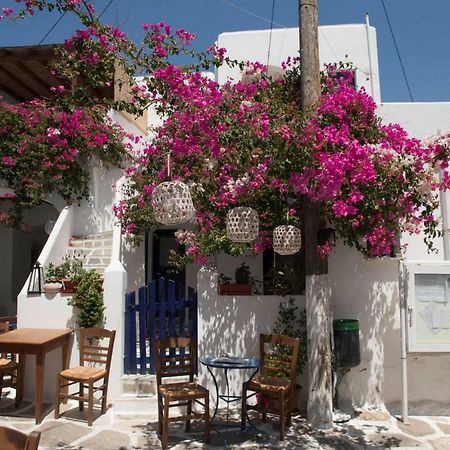 Villa Kavalli Paros Dhragoulas المظهر الخارجي الصورة