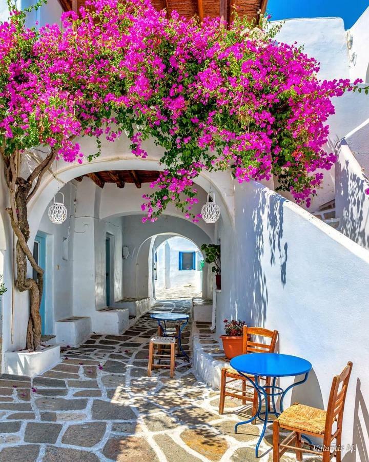 Villa Kavalli Paros Dhragoulas المظهر الخارجي الصورة