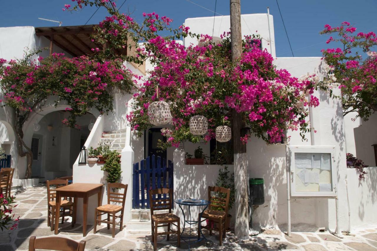 Villa Kavalli Paros Dhragoulas المظهر الخارجي الصورة